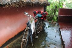 The uneven earthy Path in front of the Pothi Ashram