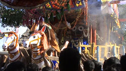 Rath Yatra 2014