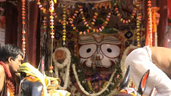 Rath Yatra 2014