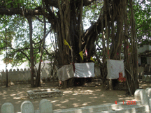 Jobra Ghat